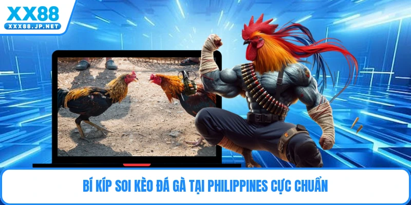 Bí kíp soi kèo đá gà tại Philippines cực chuẩn