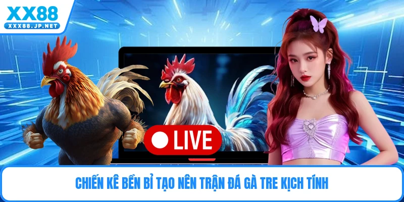 Chiến kê bền bỉ tạo nên trận đá gà tre kịch tính