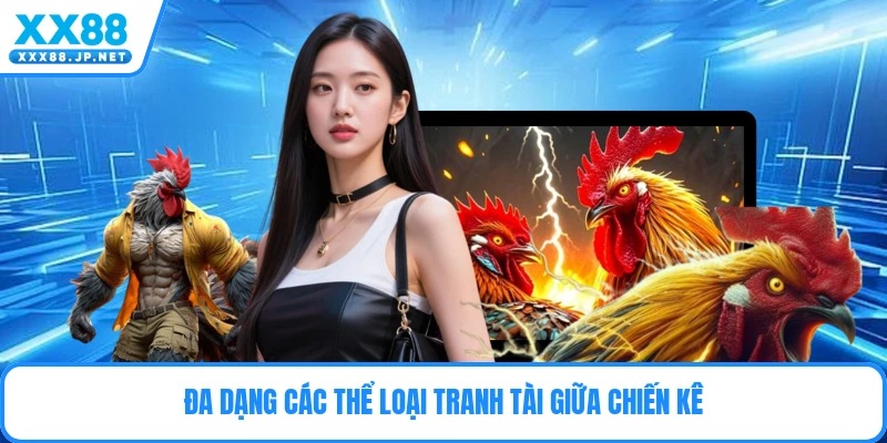 Đa dạng các thể loại tranh tài giữa chiến kê
