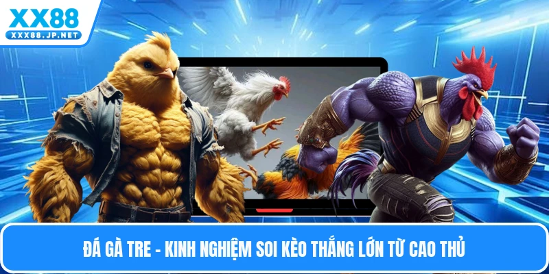 Đá Gà Tre - Kinh Nghiệm Soi Kèo Thắng Lớn Từ Cao Thủ