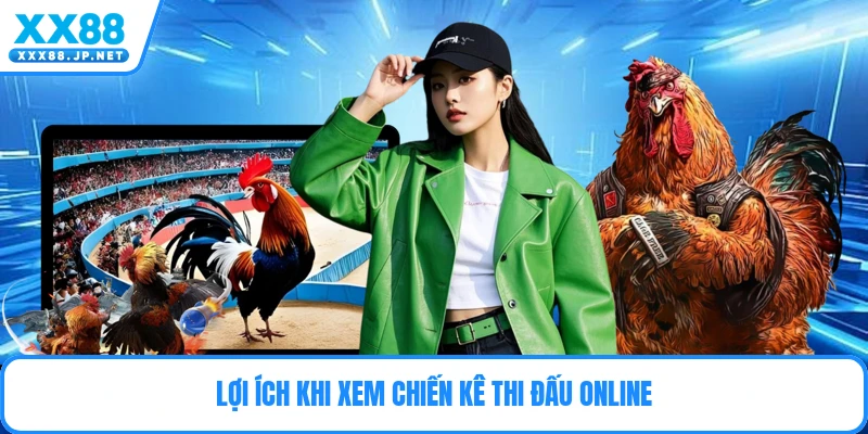 Lợi ích khi xem chiến kê thi đấu online