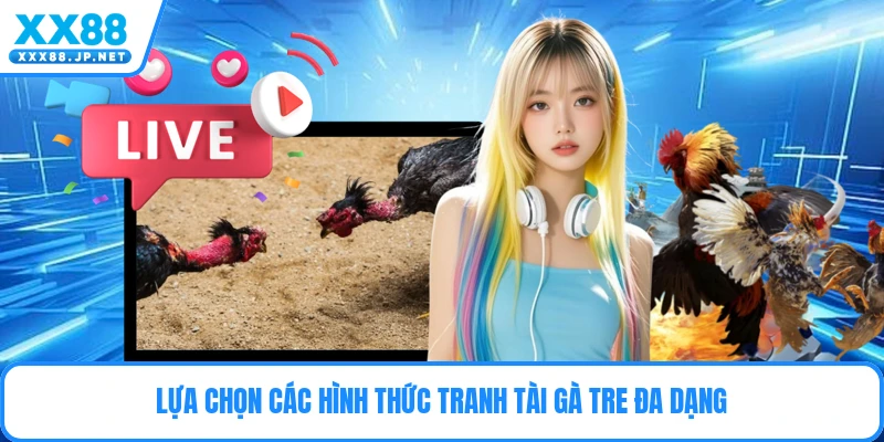 Lựa chọn các hình thức tranh tài gà tre đa dạng