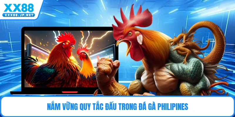 Nắm vững quy tắc đấu trong đá gà Philipines