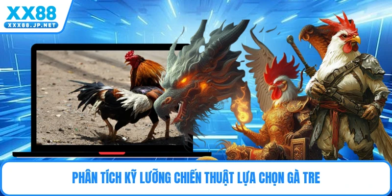 Phân tích kỹ lưỡng chiến thuật lựa chọn gà tre
