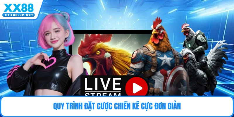 Quy trình đặt cược chiến kê cực đơn giản