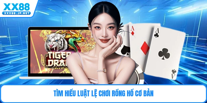 Tìm hiểu luật lệ chơi rồng hổ cơ bản